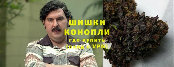 шишки Баксан