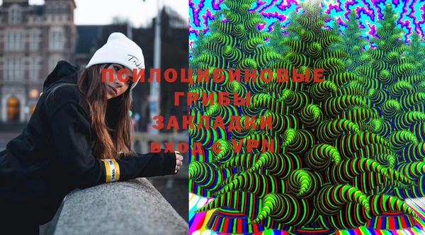 шишки Баксан
