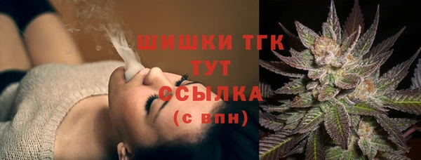 шишки Баксан