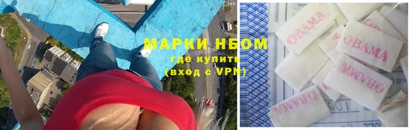 гашик Балахна