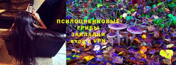 гашик Балахна