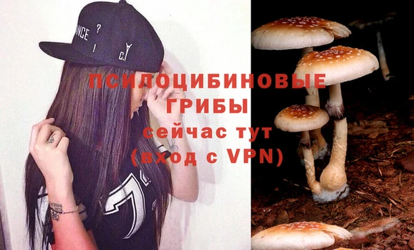 гашик Балахна