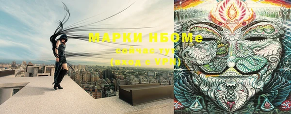 шишки Баксан