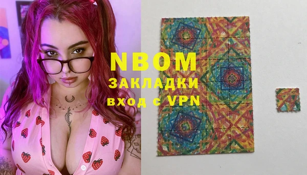 шишки Баксан