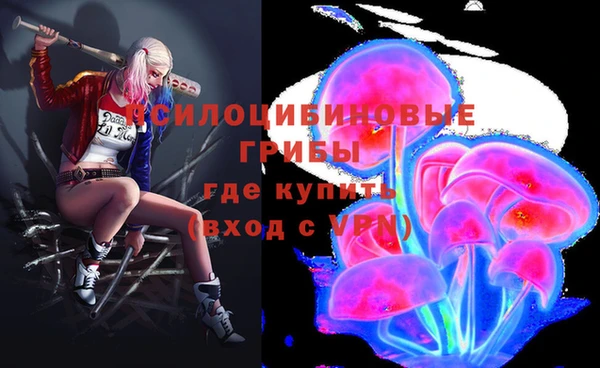 шишки Баксан